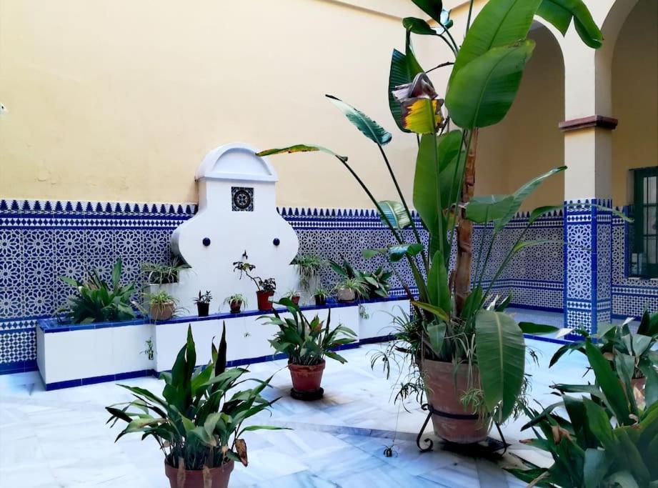 Appartamento Hispalis Conde De Ibarra Siviglia